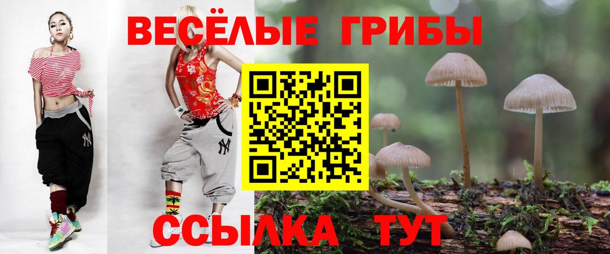 Артёмовский  Галлюциногенные грибы MAGIC MUSHROOMS  Вход с VPN 